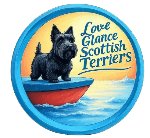 LOVE GLANCE SCOTTISH TERRIERS